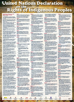 United Nations Declaration on the Rights of Indigenous Peoples Poster