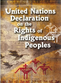 United Nations Declaration on the Rights of Indigenous Peoples Booklet (pdf) (2012)