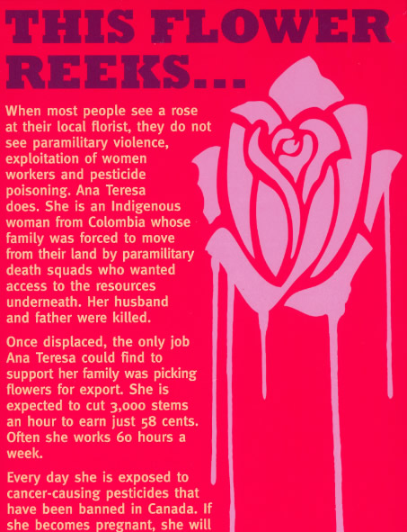 Trading Cards – This Flower Reeks