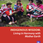 cover – Indigenous Wisdom