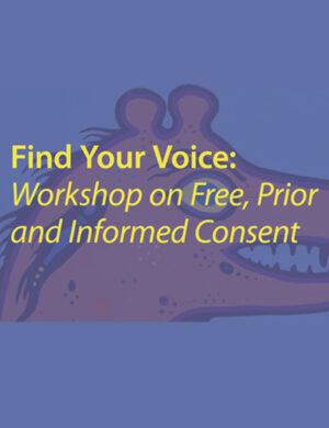 Find Your Voice: Free, Prior & Informed Consent Workshop (pdf) (2010)