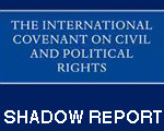 shadow report