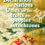 UNDRIP booklet french