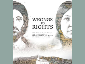 Book Cover for Wrongs to Rights