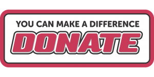 donate icon