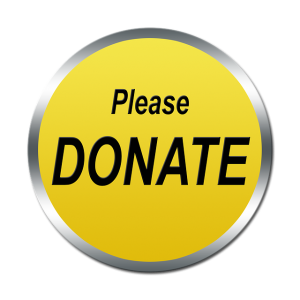 donate icon