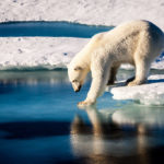 Polar bear at the Arctic. Original from NASA. Digitally enhanced