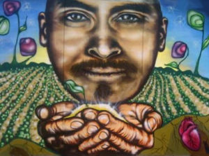 Support centers for agricultural migratory workers