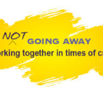 FRbanner-sample2-4