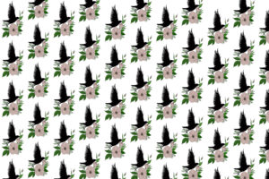 Ravens messenger of change wallpaper