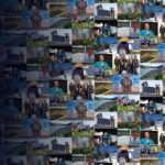 HERO-BANNER-8