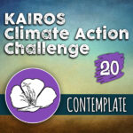 Day 20 – Climate Action Challenge