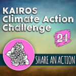 Day 24 – Climate Action Challenge