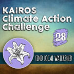 Day 28 – Climate Action Challenge