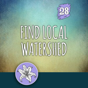 ACTION 28: Find local watershed