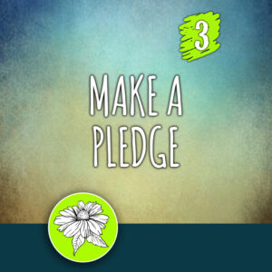 ACTION 3: Make a pledge