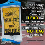 MEME-lead-not-lag-iron-and-earth