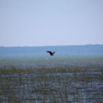 Water and Spirit