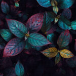 chinnu-indrakumar-6nRyj0rijkQ-unsplash-horizontal
