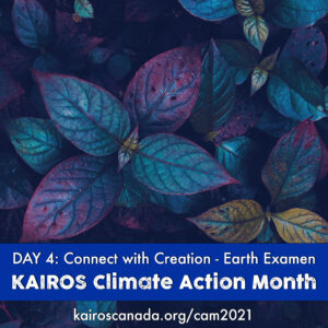 DAY 4 of Climate Action Month: connect with Creation - Earth Examen