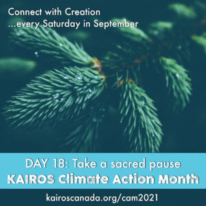 DAY 18 of Climate Action Month: take a sacred pause
