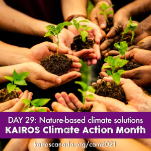 DAY 29 of climate action month, nature-based climate solutions