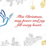 christmas slider2 copy