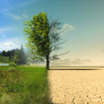 Climate change from drought to green growth