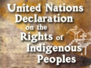 UNDRIP