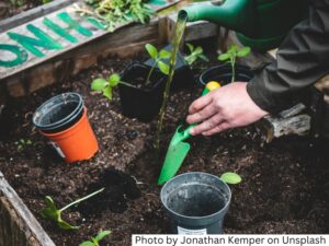Cultivating Our Resilience in Uncertain Times
