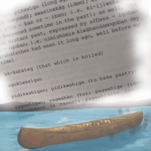 First Nations languages: voices of land, culture and spirit