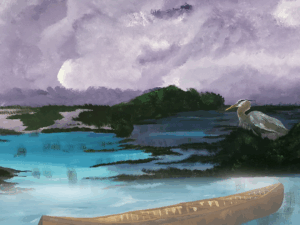 First Nations governance: Resurgence of sovereignty