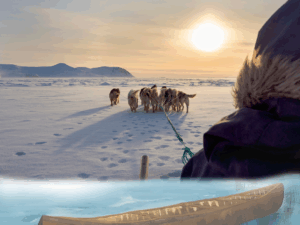 Inuit Qaujimajatuqangit: Inuit ways of knowing the world