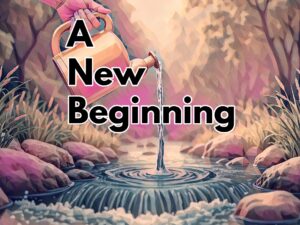 A new beginning